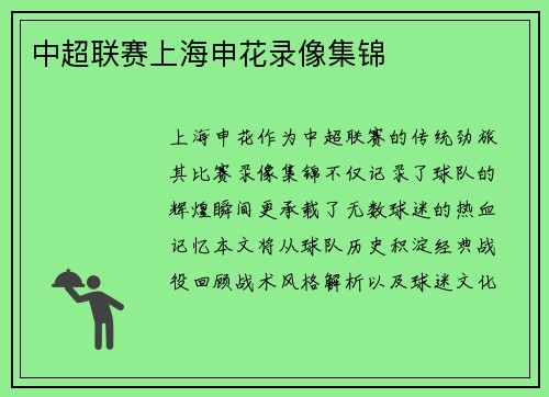 中超联赛上海申花录像集锦